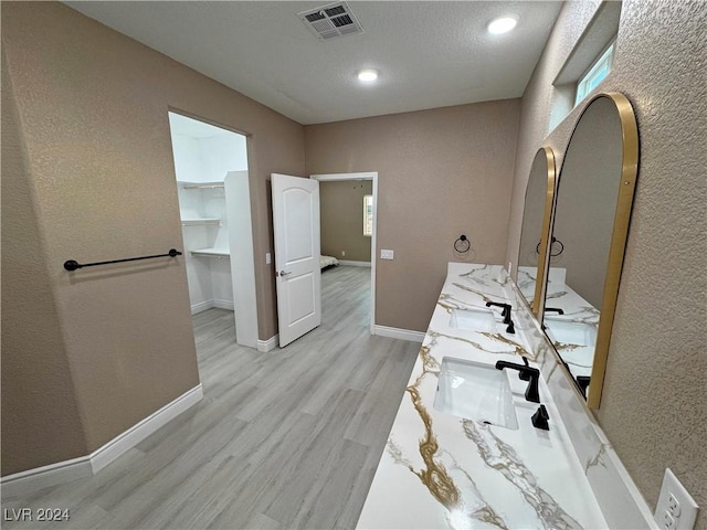 bathroom with hardwood / wood-style flooring and vanity