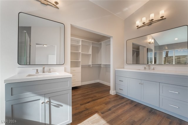 bathroom featuring wood-type flooring and vanity