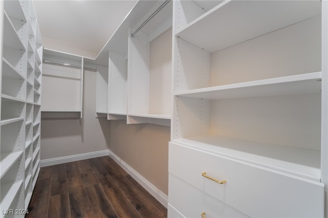 walk in closet with dark hardwood / wood-style flooring