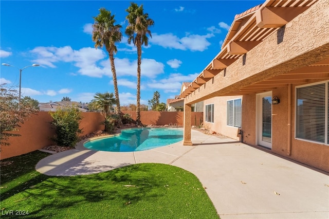 view of swimming pool with a patio area