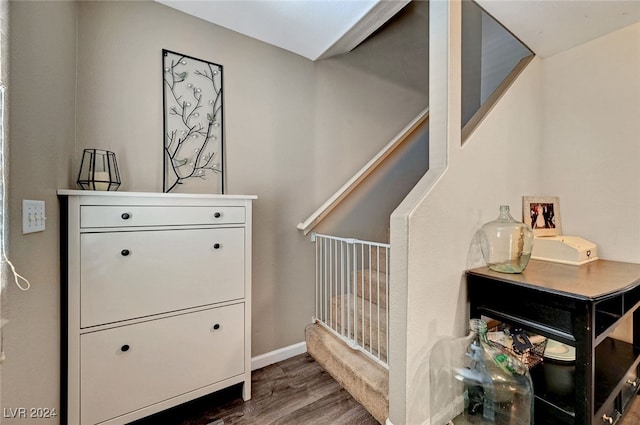 staircase with hardwood / wood-style floors