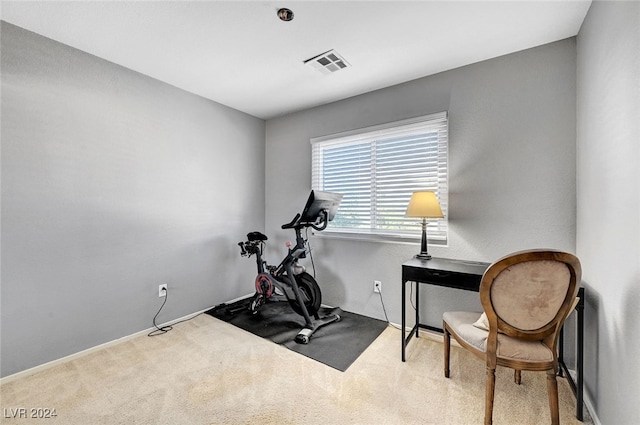 exercise area featuring carpet