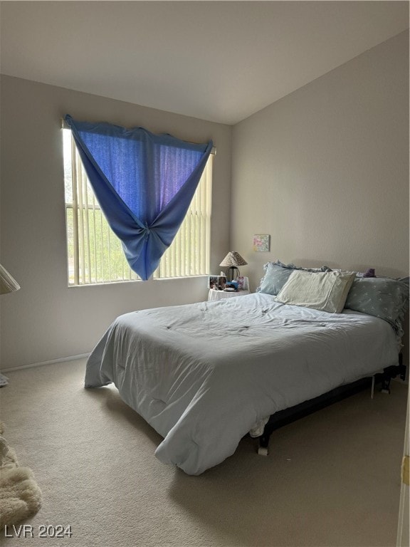 bedroom with carpet flooring