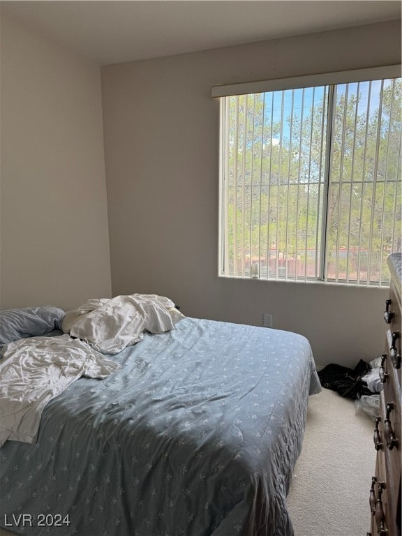 bedroom featuring multiple windows and carpet