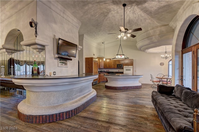 interior space featuring ceiling fan with notable chandelier, high vaulted ceiling, hardwood / wood-style flooring, and a bath