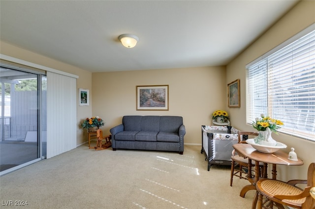 carpeted living room with a wealth of natural light