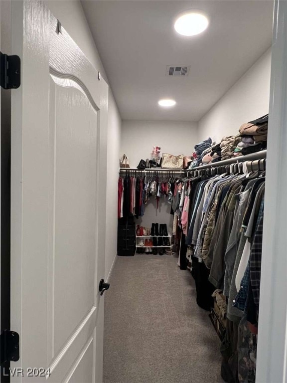 walk in closet featuring carpet flooring