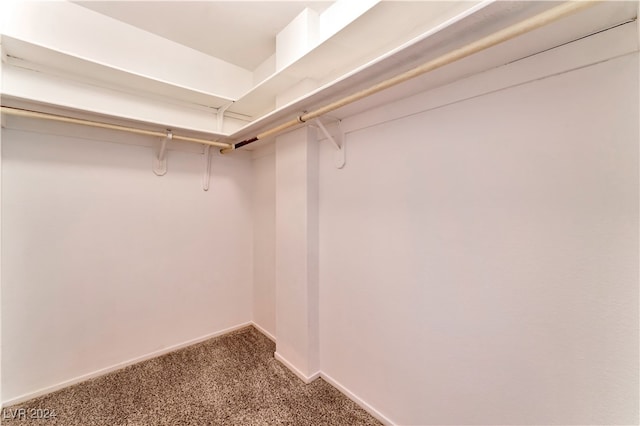 walk in closet featuring carpet