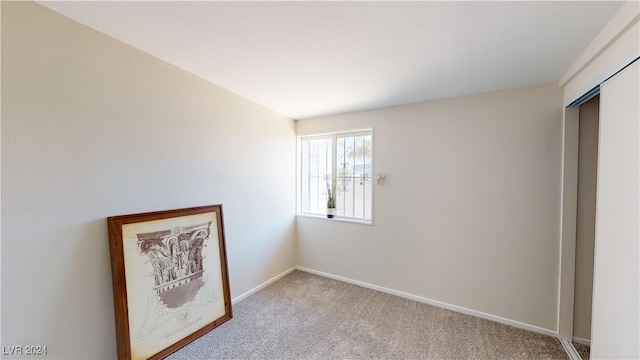 interior space featuring carpet floors