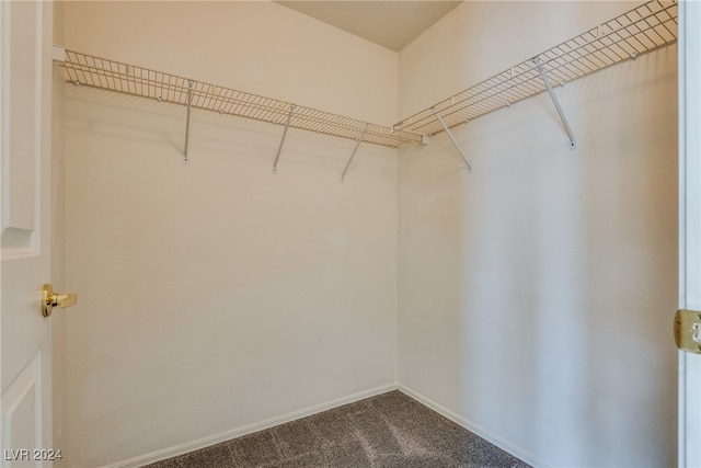 walk in closet featuring carpet floors