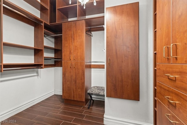 spacious closet featuring dark wood-type flooring