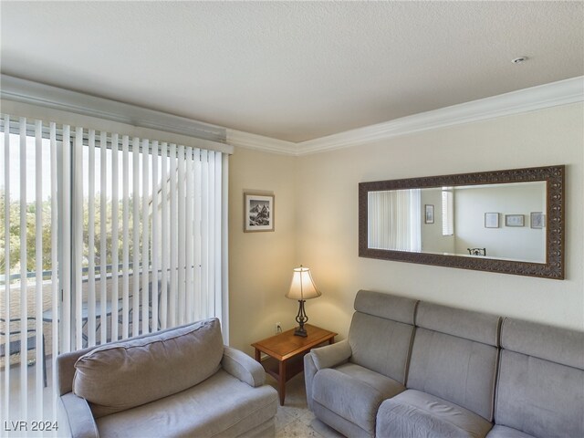 living room with crown molding and a textured ceiling