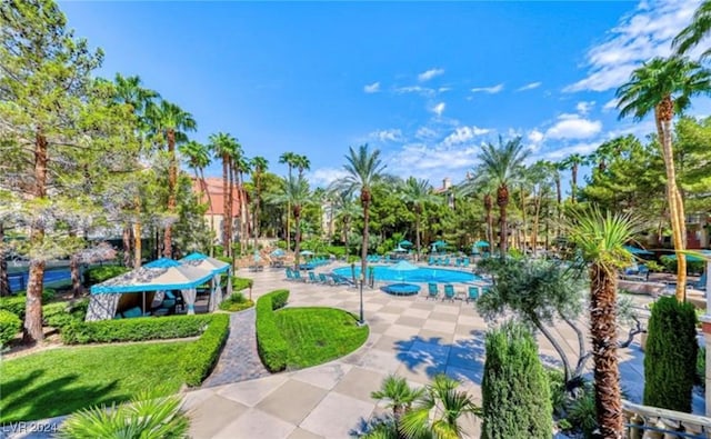 view of pool with a patio