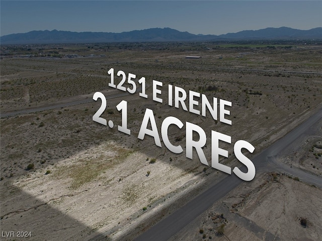 1251 E Irene St, Pahrump NV, 89060 land for sale