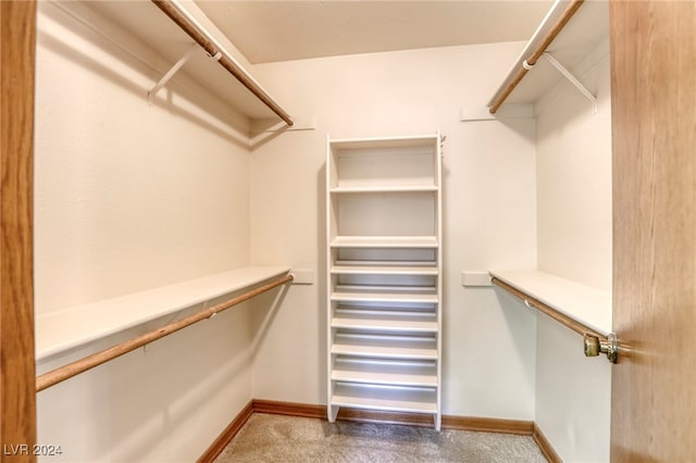 walk in closet featuring radiator and carpet flooring