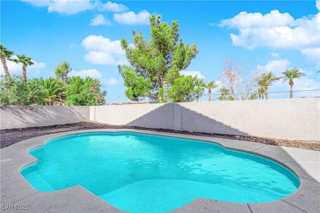 view of swimming pool