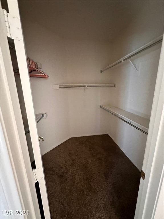 spacious closet featuring carpet floors