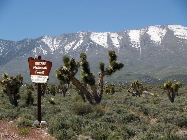 view of mountain feature