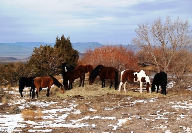 view of horse barn with a mountain view and a rural view