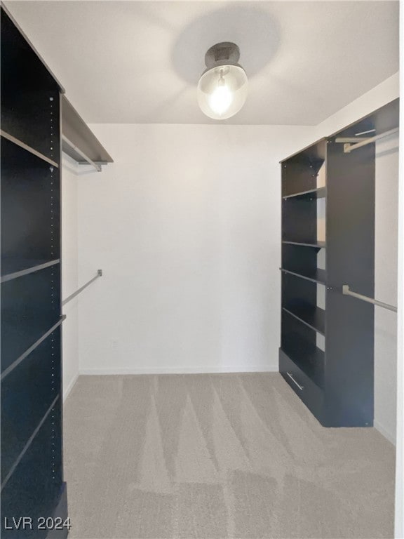 spacious closet with carpet flooring