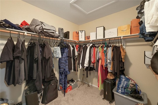 spacious closet with carpet flooring and attic access