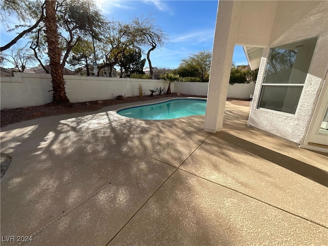 view of swimming pool featuring a patio area