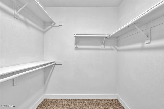 walk in closet with carpet floors