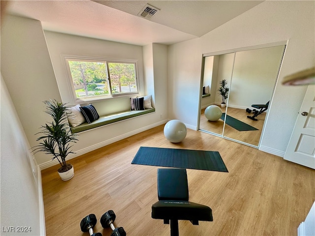 exercise area featuring lofted ceiling and wood-type flooring