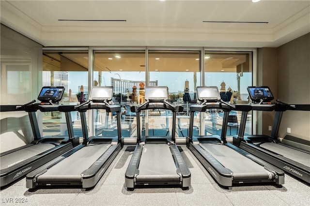 gym featuring a wealth of natural light