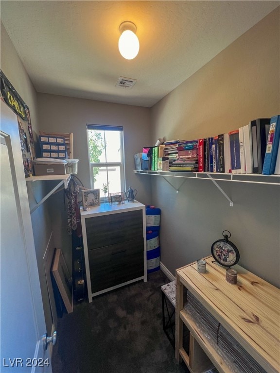 interior space featuring carpet floors