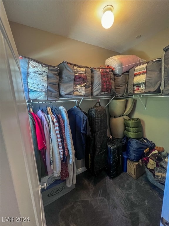 spacious closet featuring carpet flooring