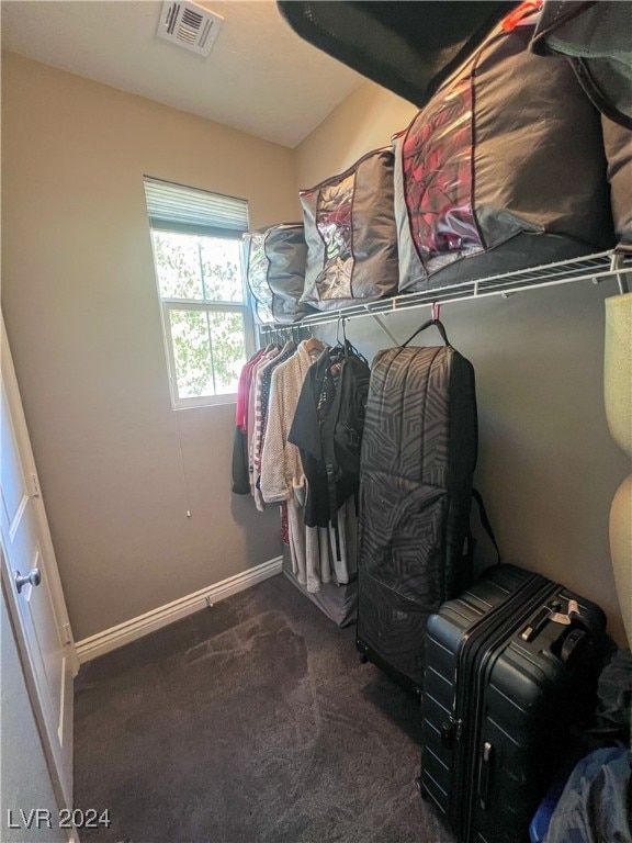 spacious closet with dark colored carpet