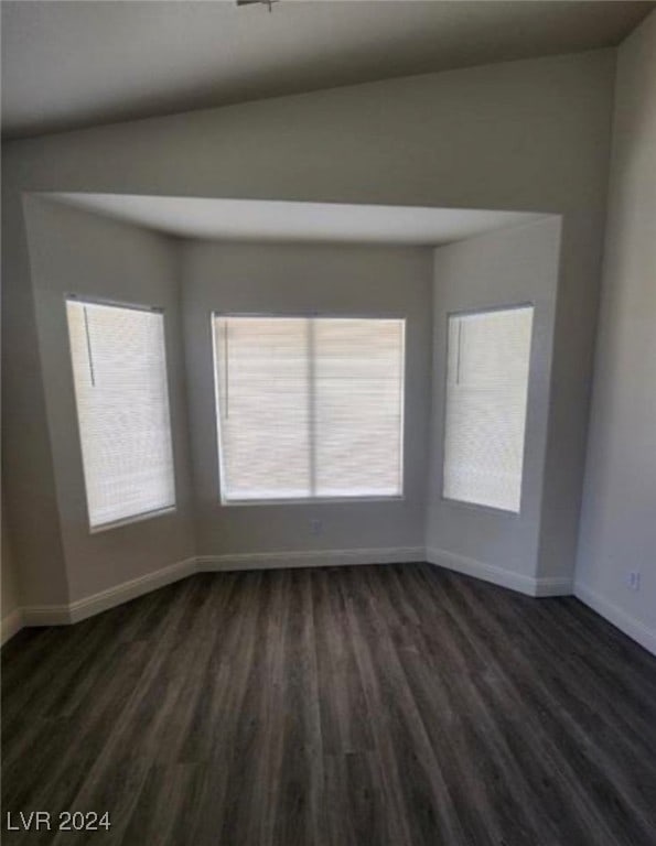 empty room featuring dark wood-type flooring, vaulted ceiling, and a healthy amount of sunlight