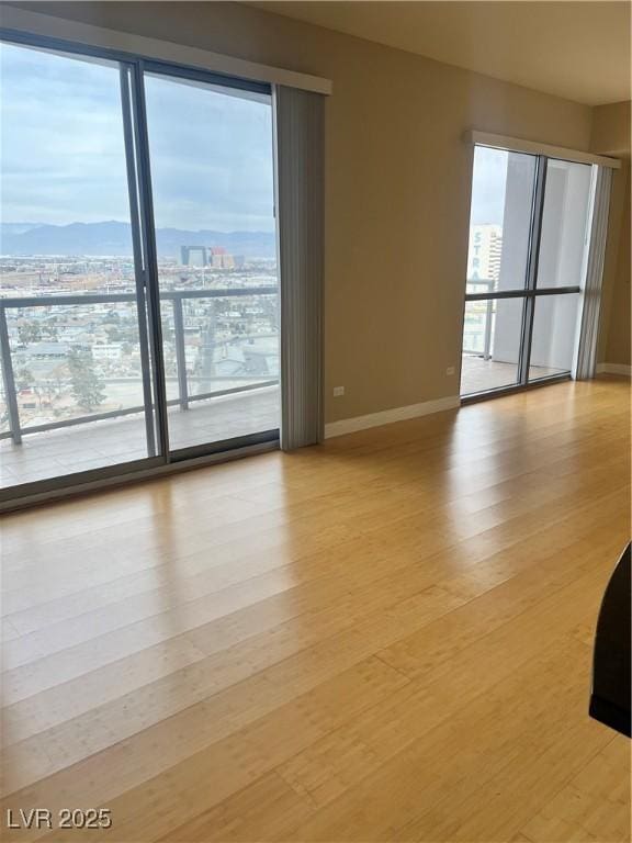 spare room featuring a mountain view and light hardwood / wood-style flooring