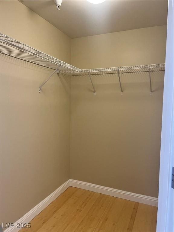 spacious closet featuring hardwood / wood-style floors