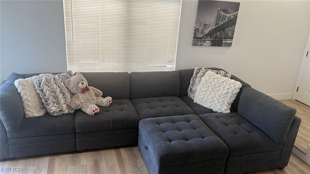 living room with hardwood / wood-style floors