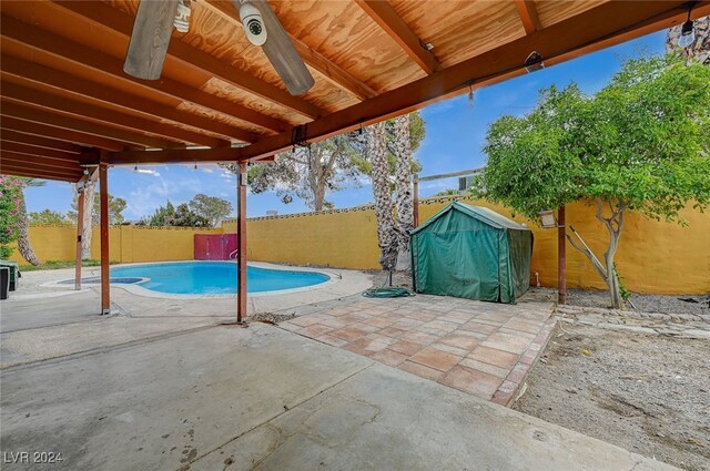 view of swimming pool with a patio