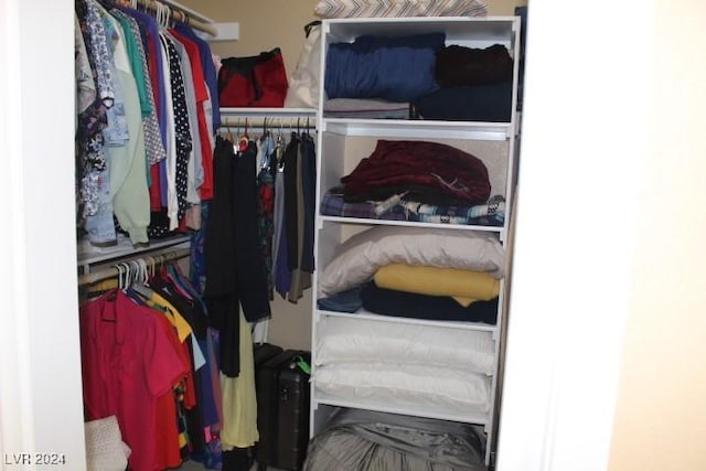 view of walk in closet