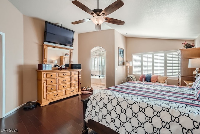 bedroom with multiple windows, ceiling fan, dark hardwood / wood-style floors, and connected bathroom