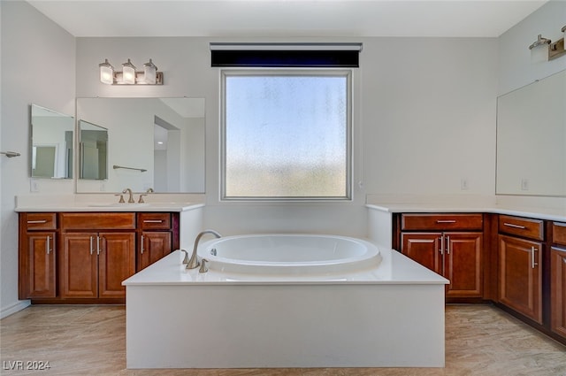 bathroom with vanity, plenty of natural light, and a washtub