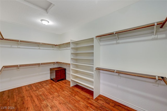 walk in closet featuring wood-type flooring