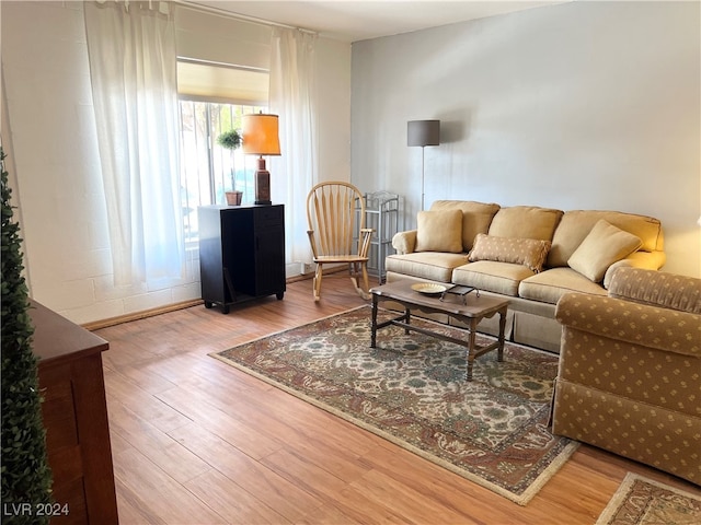 living room with wood-type flooring