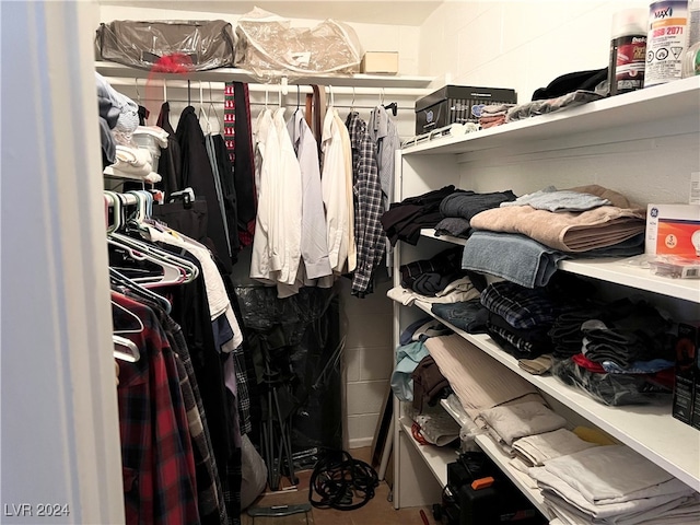 view of spacious closet