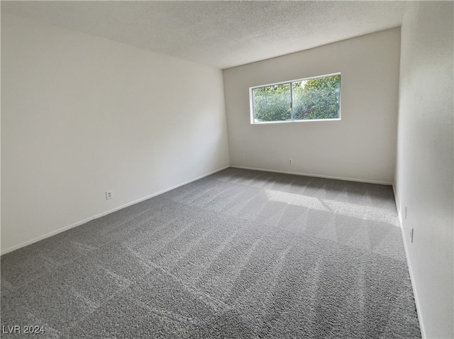 carpeted spare room with a textured ceiling