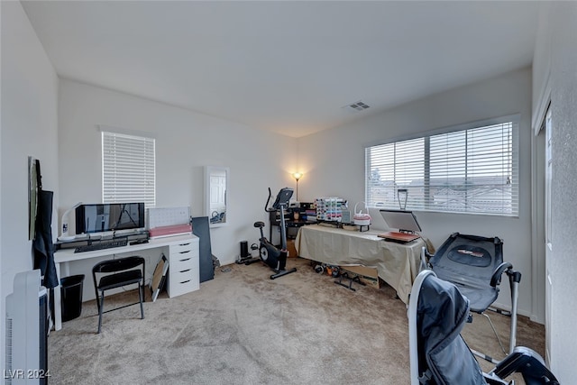 bedroom featuring light colored carpet