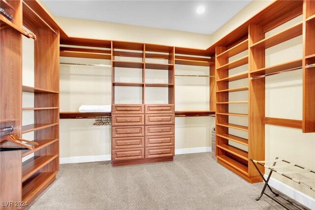 spacious closet with light carpet