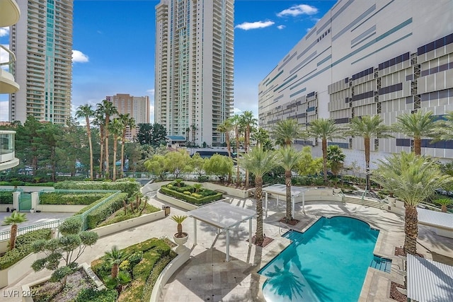 view of pool with a patio