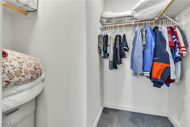 walk in closet with carpet floors