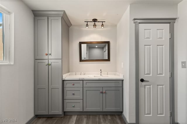 bathroom featuring wood-type flooring and vanity