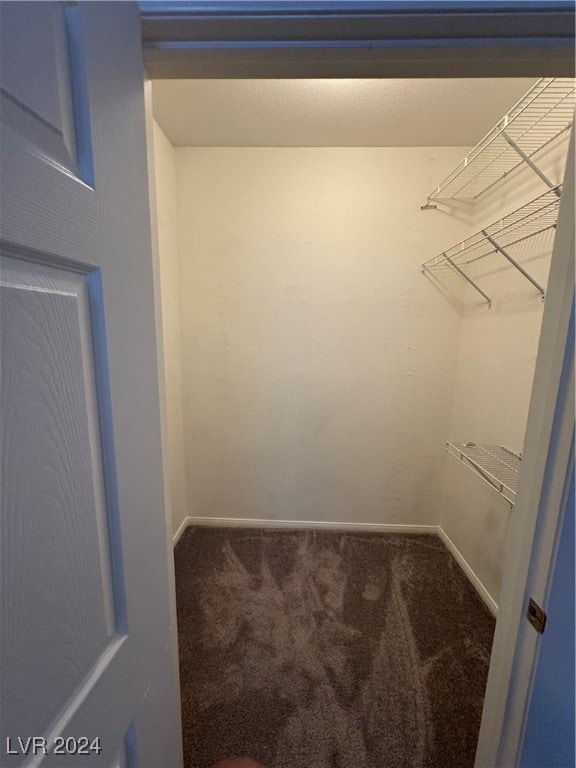 spacious closet with carpet